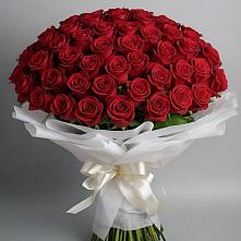 Букет 101 Красная роза Блэк Мэджик в Гарболово