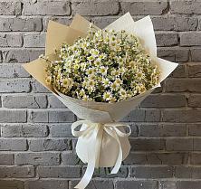 Букет цветов из:  Ромашки #REPLACE_PRED# Гарболово