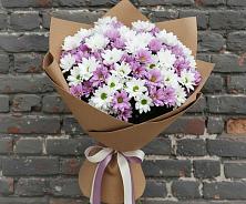 Букет цветов из:  Хризантемы в Гарболово