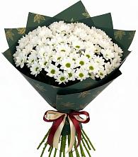 Букет цветов из:  Хризантемы в Гарболово