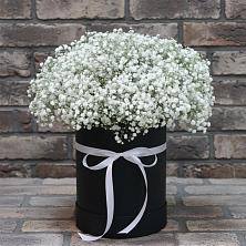 Цветочная композиция из Гипсофила в шляпной коробке в Гарболово