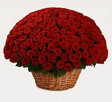 Премиум букет из: Розы в Гарболово