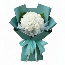 Букет цветов из:  Гортензия #REPLACE_PRED# Гарболово